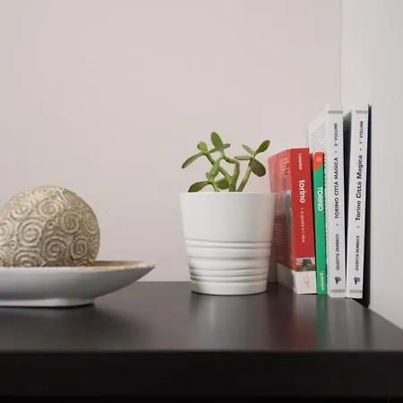 The Piedmont Gate - Torino, Kitchen, Next To Metro Station, 2 Bedrooms, Terrace Колленьо